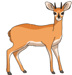 Gif animé gazelle marron